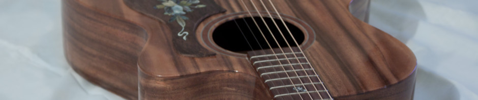 cropped-Guitar_picture.jpg